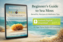 Load image into Gallery viewer, Beginner’s Guide to Sea Moss digital wellness guide cover