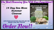 14 Day Sea Moss Summer Cleanse Recipe & Guide PDF Book ONLY (Sea Moss Not included)
